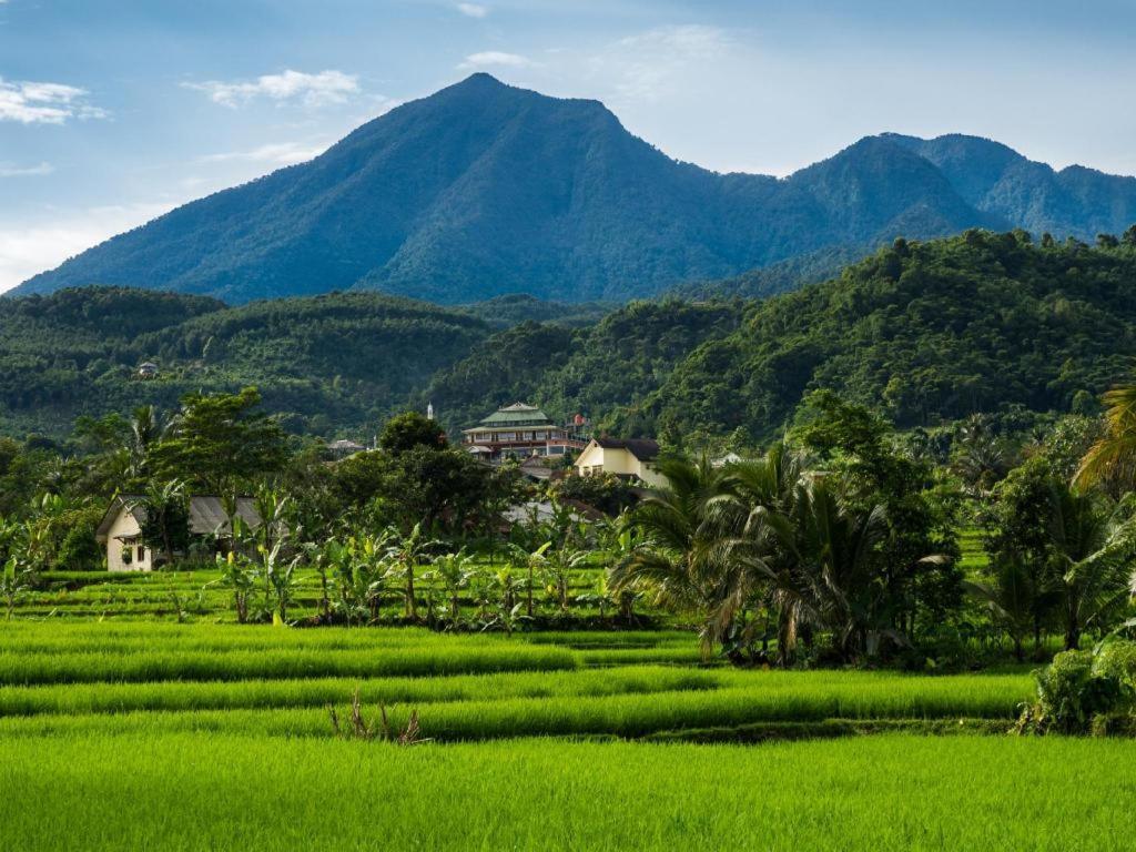 Amaris Hotel Padjajaran Bogor Exteriér fotografie